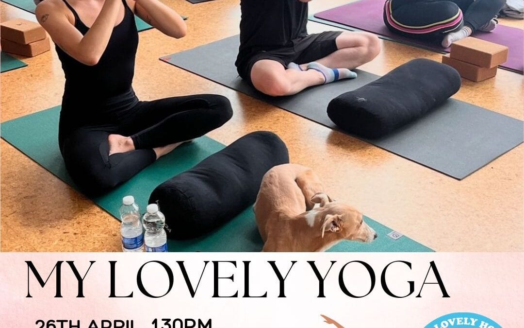 My Lovely Yoga & Pilates 🐶