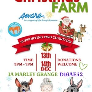 Santa Charity Event | Ticket