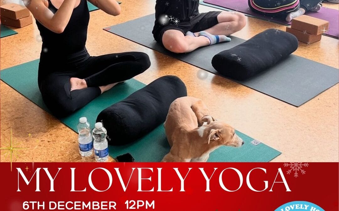 My Lovely Christmas Yoga & Pilates 🐶